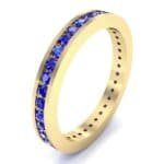 Channel-Set Blue Sapphire Eternity Ring (1.11 CTW) Perspective View