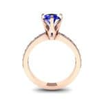 Six-Prong Milgrain Pave Blue Sapphire Engagement Ring (0.9 CTW) Side View