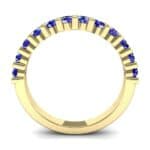 Shared Prong Blue Sapphire Ring (1.01 CTW) Side View