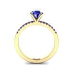 Thin Claw Prong Pave Blue Sapphire Engagement Ring (0.85 CTW) Side View