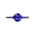 Thin Claw Prong Pave Blue Sapphire Engagement Ring (0.85 CTW) Top Flat View