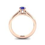 Petite Cathedral Solitaire Blue Sapphire Engagement Ring (0.47 CTW) Side View