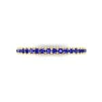 Thin French Pave Blue Sapphire Eternity Ring (0.63 CTW) Top Flat View