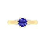Cathedral Tulip Six-Prong Solitaire Blue Sapphire Engagement Ring (0.7 CTW) Top Flat View