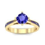 Pave Round-Cut Solitaire Blue Sapphire Engagement Ring (0.73 CTW) Top Dynamic View