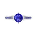 Pave Round-Cut Solitaire Blue Sapphire Engagement Ring (0.73 CTW) Top Flat View