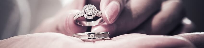 Ring Edu Top Banner