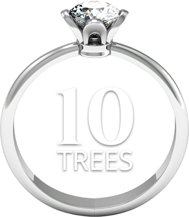 10tree Large 1