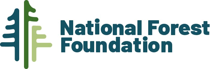 Nff