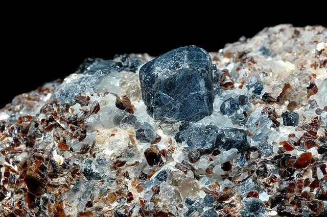 640px Sapphirine Madagascar