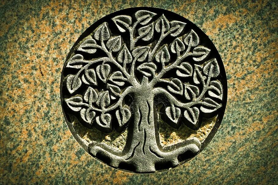 Tree of Life Necklace: The Meaning And History Behind The Symbol